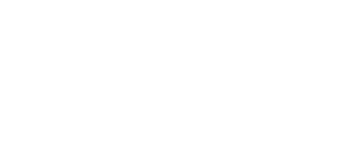 Cyber Culture